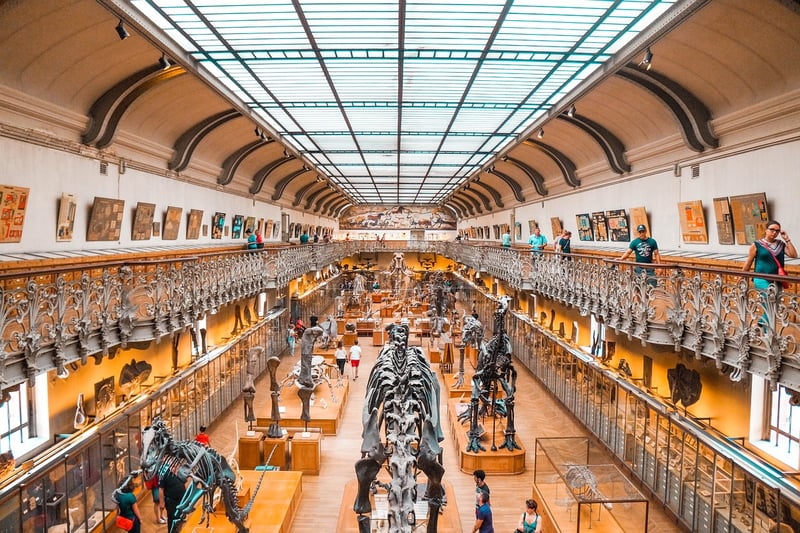 Dinosaur encounters